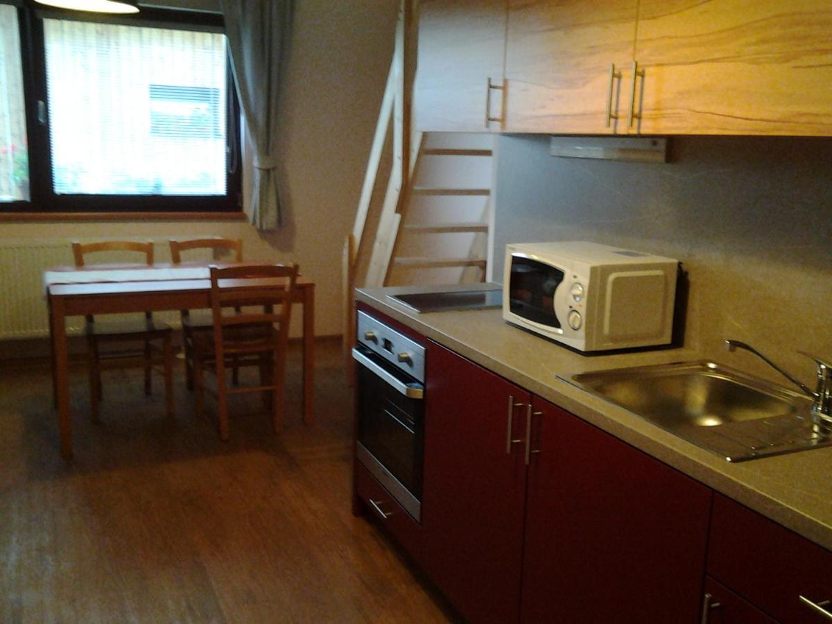 Ranc Orlice Villa Trebechovice pod Orebem Exterior photo