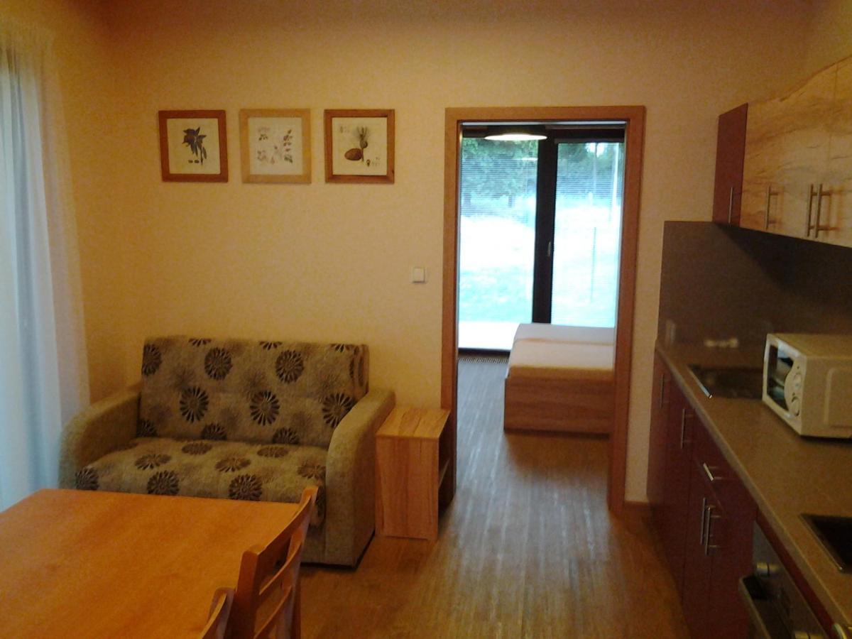 Ranc Orlice Villa Trebechovice pod Orebem Exterior photo