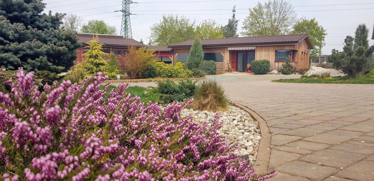 Ranc Orlice Villa Trebechovice pod Orebem Exterior photo